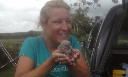 Happy lady holding a little owl chick