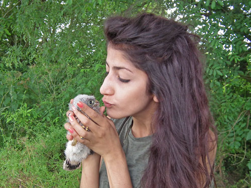 Elly (almost) kissing a little owl chick