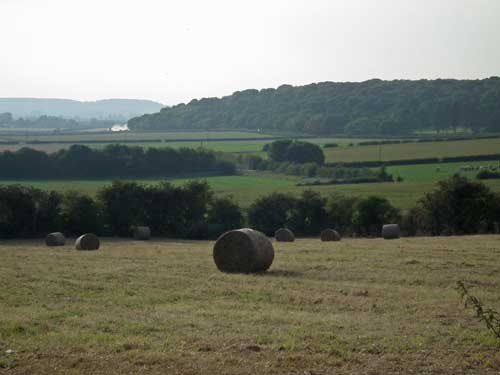 photo of round bales