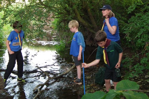 cub scouts investigating the brook