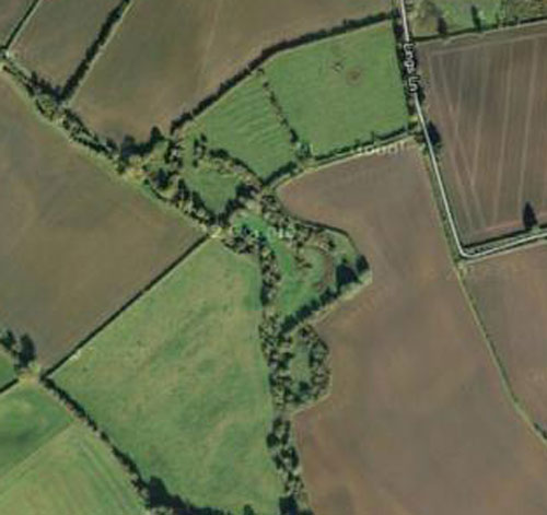Aerial photo of the meadow.