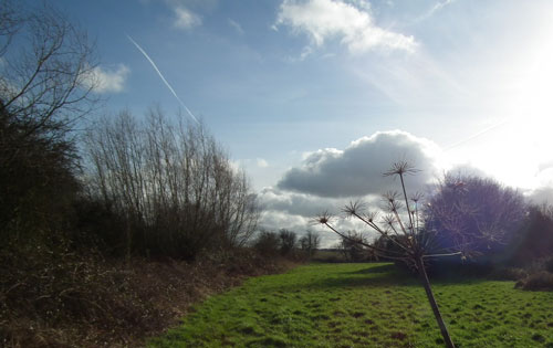 The Meadow 1st Feb 2013