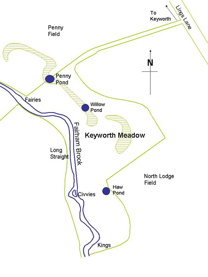 Plan of Meadow