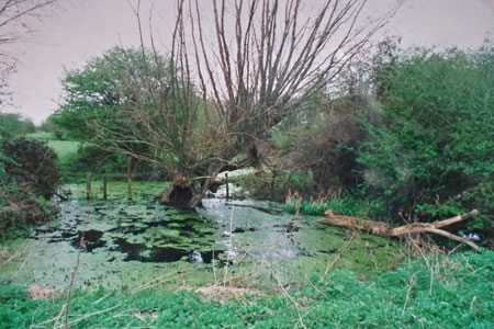 Penny Pond 1999