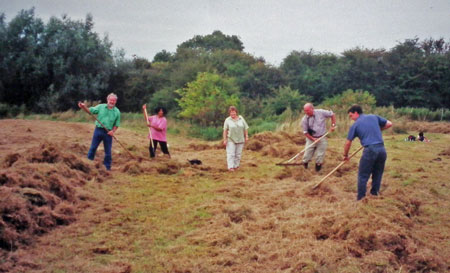 Grass raking 2000