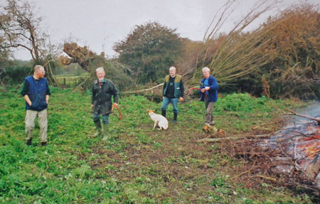 Pollarding the big willow 2002