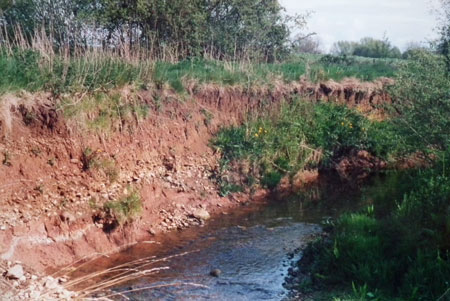 Kingfisher Bank 2005