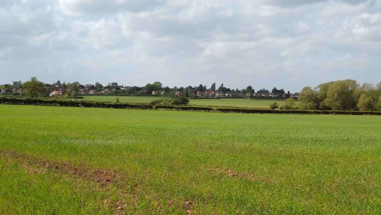 View Looking Towards Tollerton