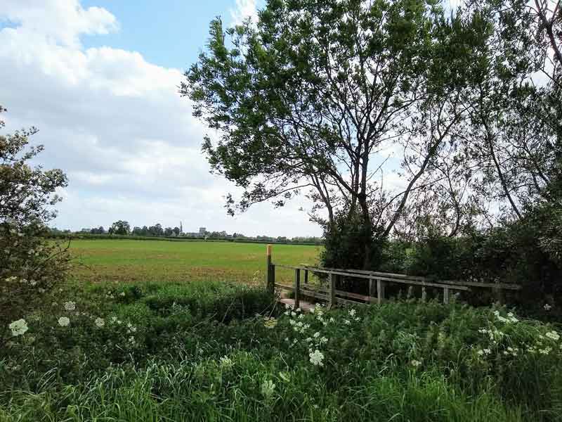 View of Footbridge at Tollerton