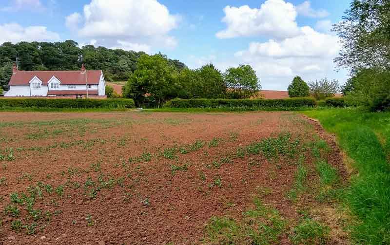 View of White Houses on Cotgrave Road