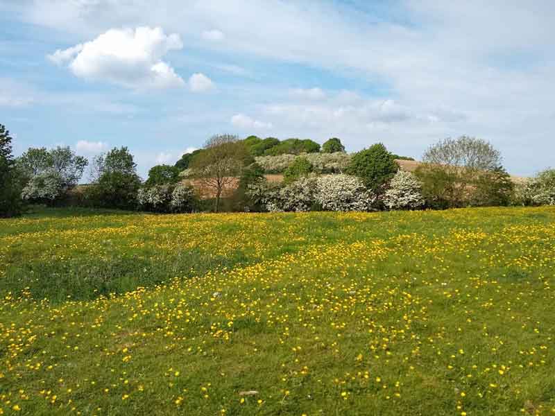 Hoe Hill at Normanton