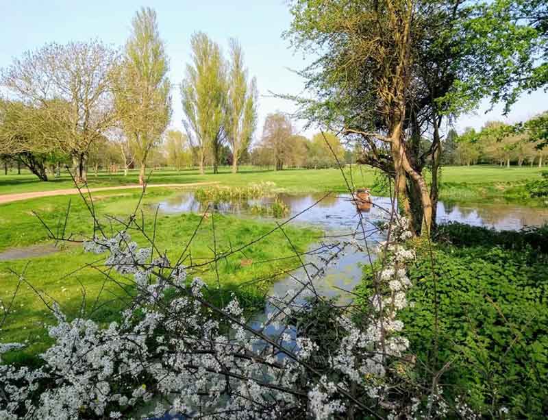 Rambling On. Moores GC, StantonontheWolds.