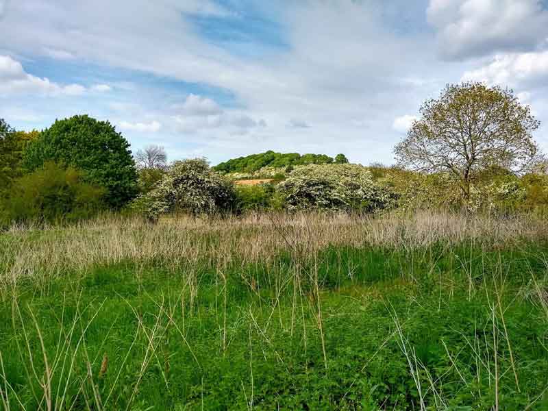 Rambling On. Clipston on the Wolds.